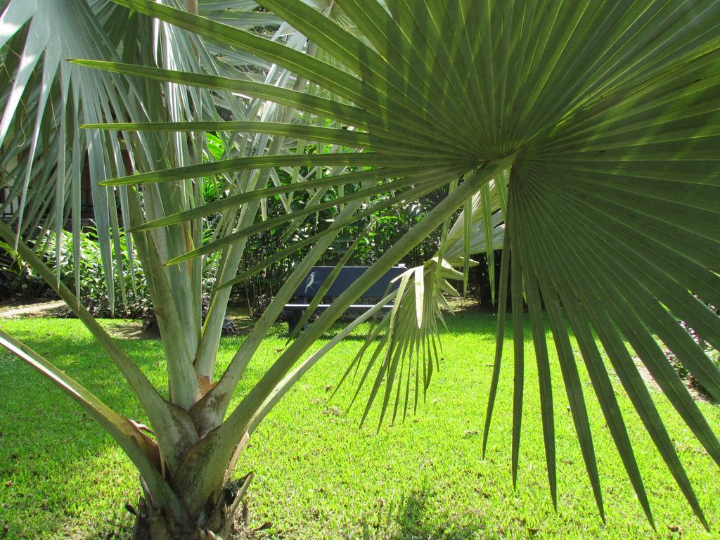 Heliconia Island 3*