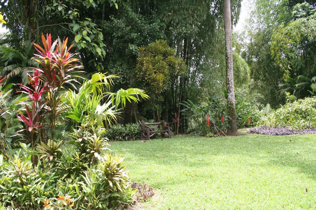Heliconia Island Bed and breakfast Las Horquetas