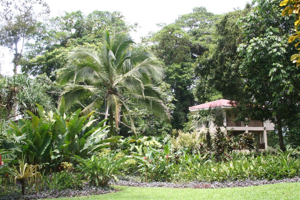 Heliconia Island 3* Las Horquetas