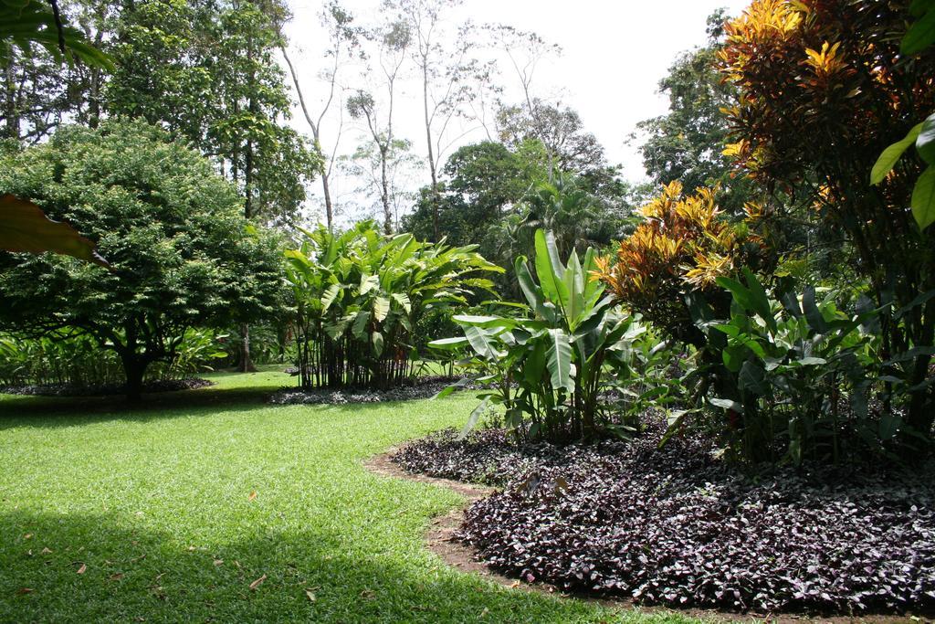 Bed and breakfast Heliconia Island