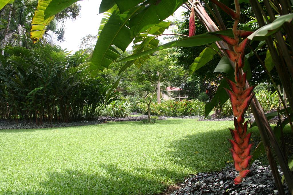 Heliconia Island Bed and breakfast Las Horquetas