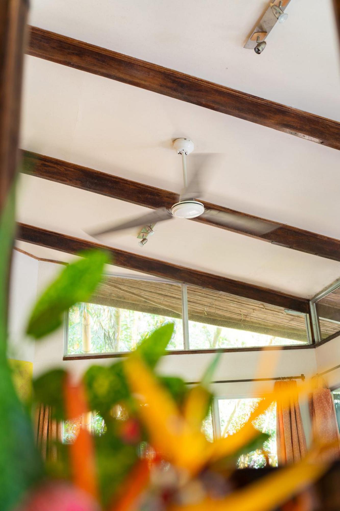 Bed and breakfast Heliconia Island 3*