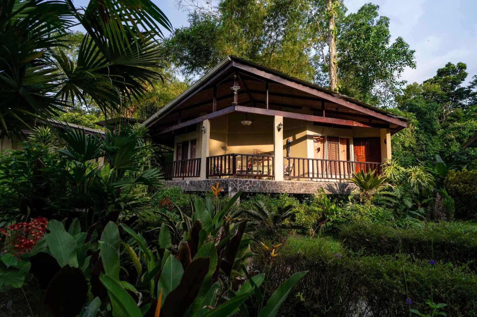Heliconia Island 3*