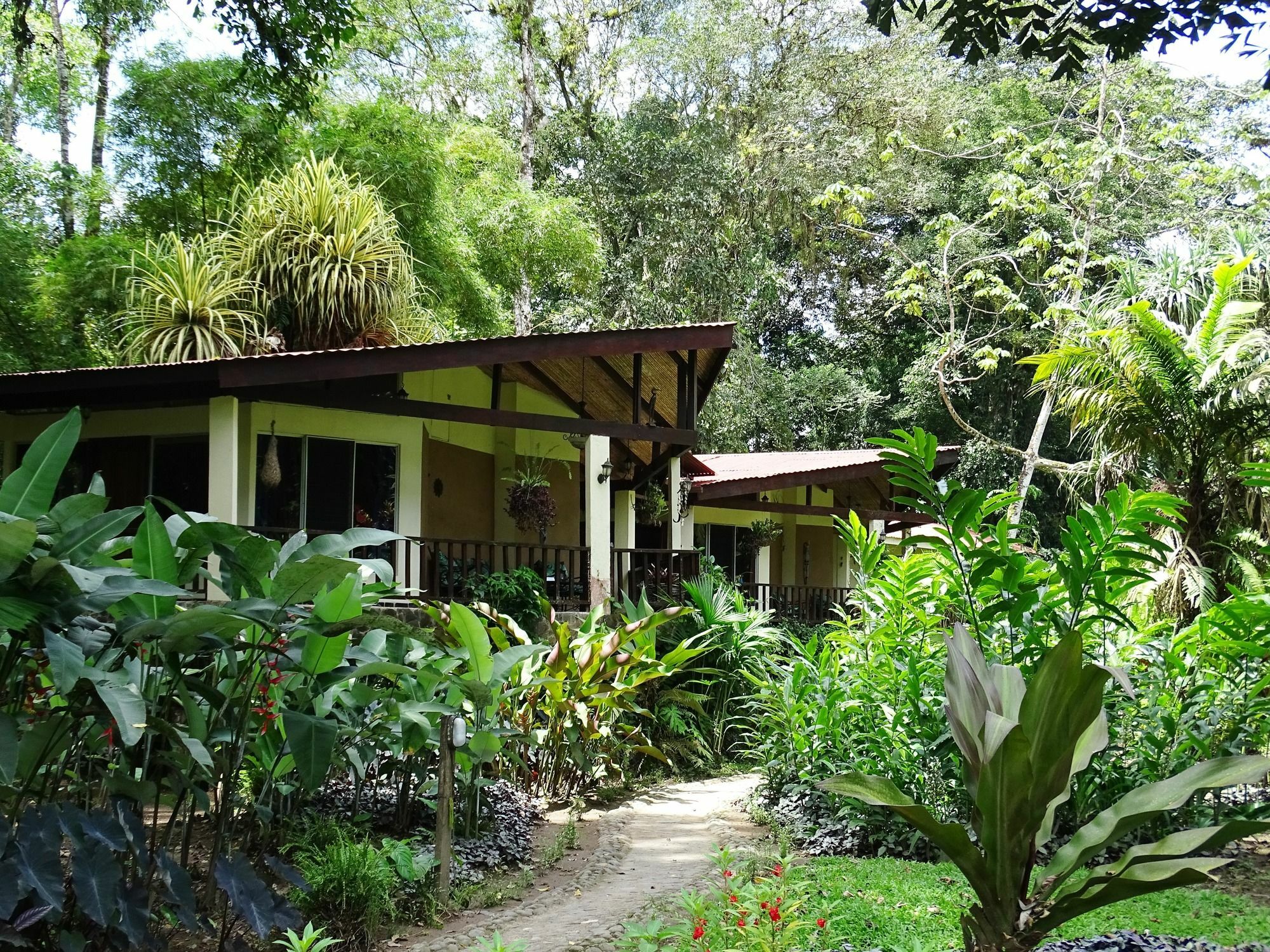 Bed and breakfast Heliconia Island 3*