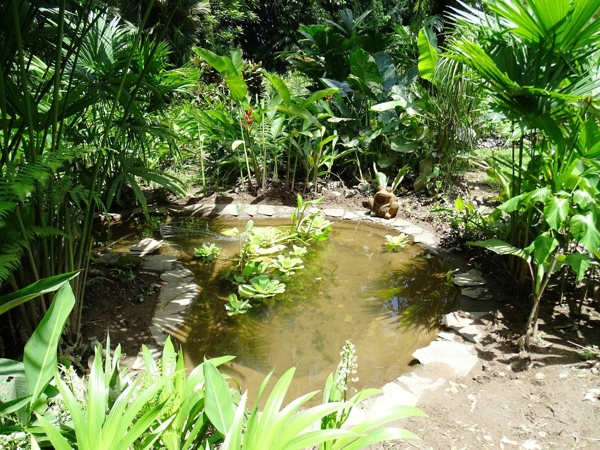 Heliconia Island Bed and breakfast Las Horquetas