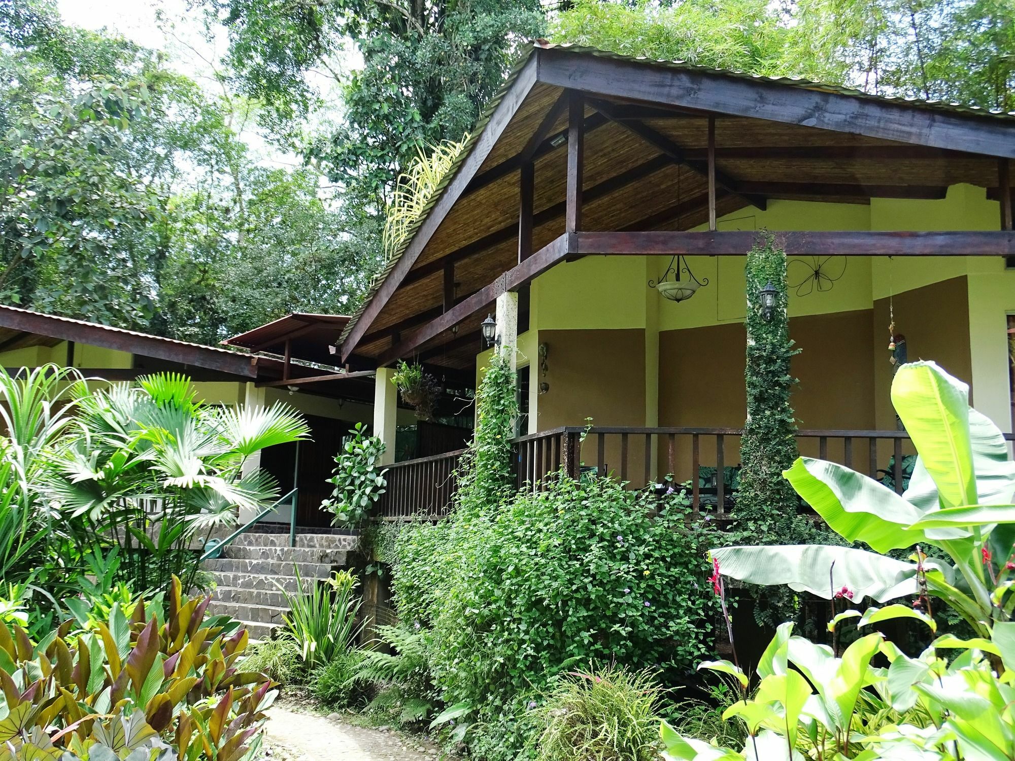 Bed and breakfast Heliconia Island Las Horquetas